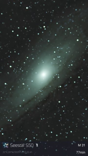 M31